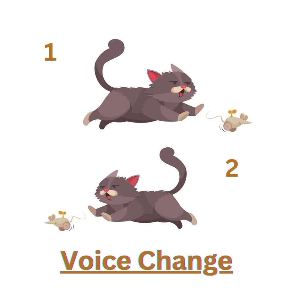 Voice Change