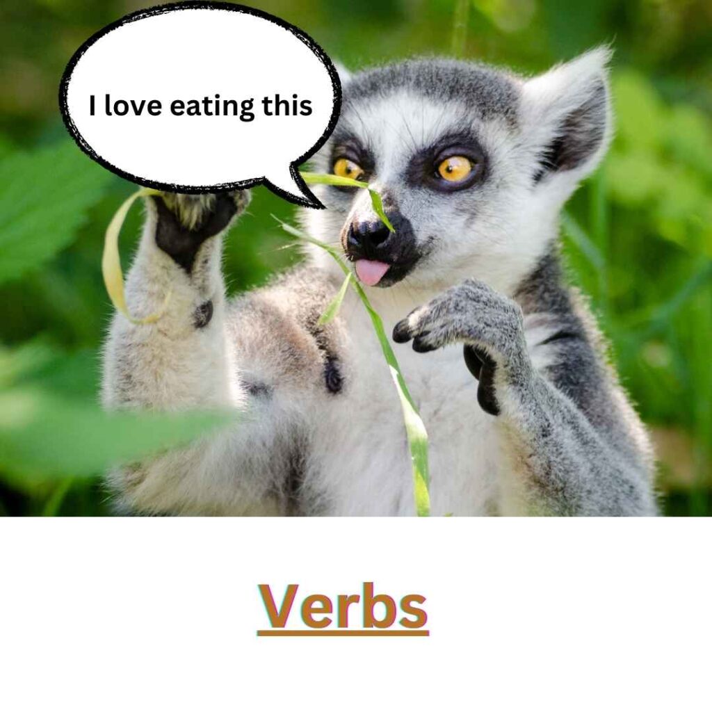 Verbs in English Language